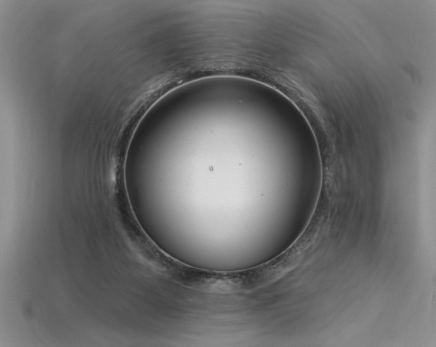 X0000115830115200911131514