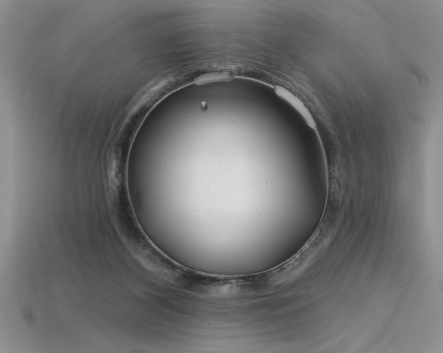 X0000115830116200911131514