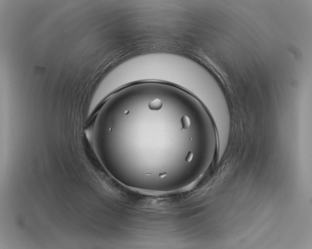 X0000115830117200911131514