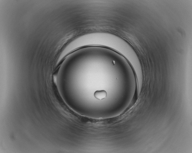 X0000115830120200911131514