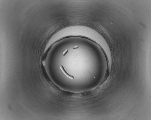 X0000115830124200911131514