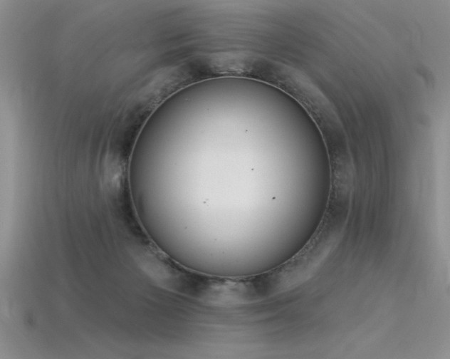 X0000115830125200911131514