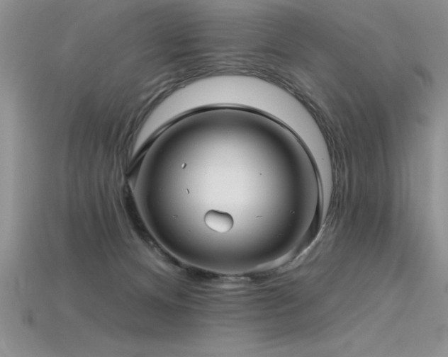 X0000115830128200911131514