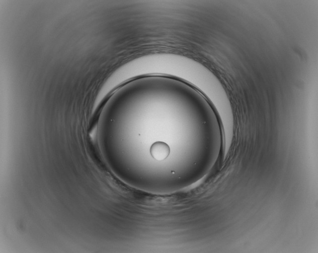 X0000115830129200911131514