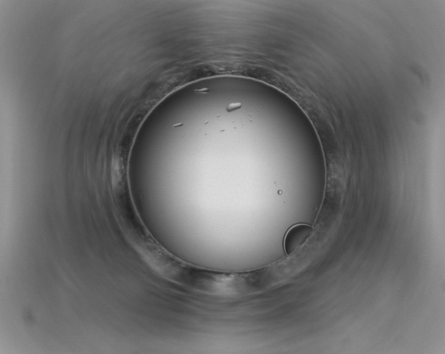 X0000115830130200911131514