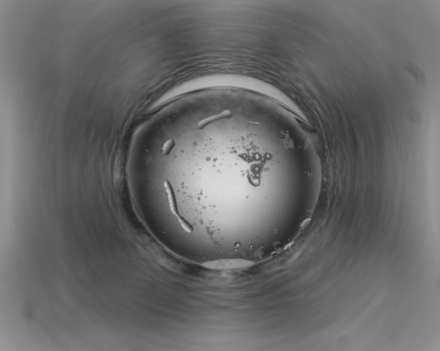 X0000115830131200911131514