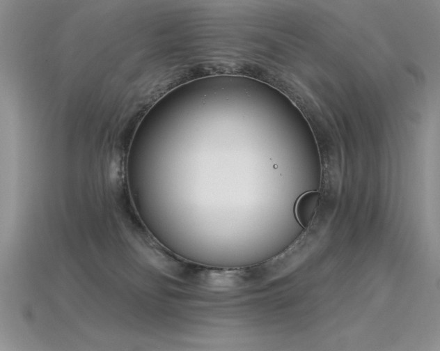 X0000115830134200911131513