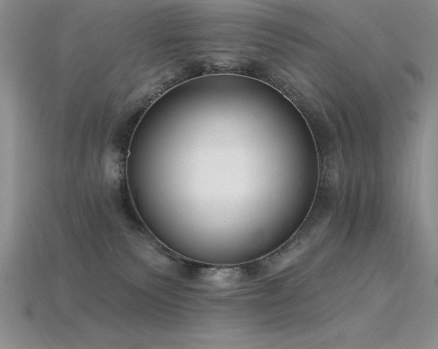 X0000115830135200911131513