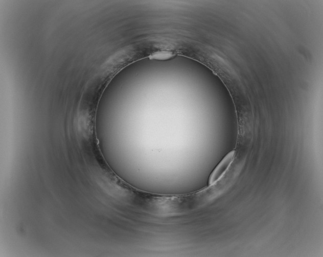 X0000115830136200911131513