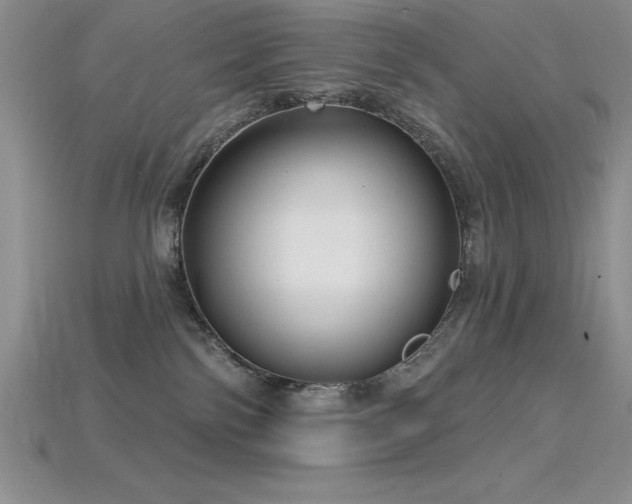 X0000115830138200911131513