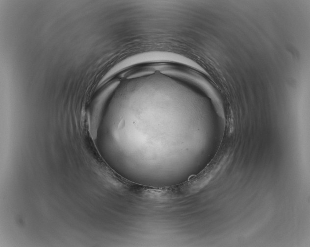 X0000115830139200911131513