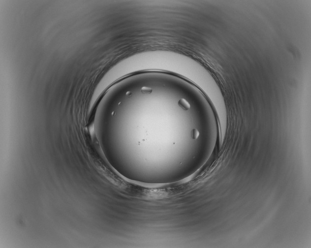 X0000115830141200911131513