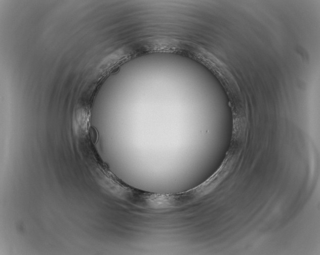 X0000115830142200911131513