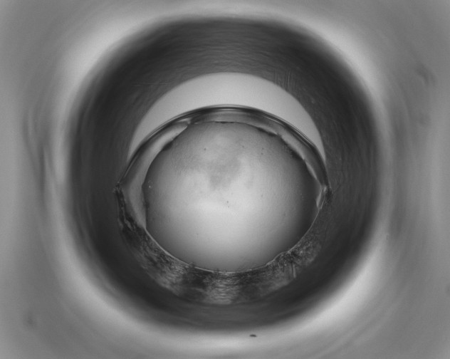 X0000115830143200911131513