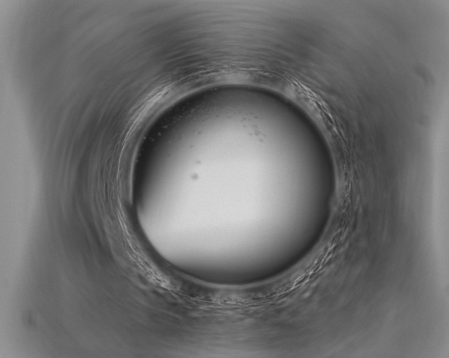 X0000115830145200911131513