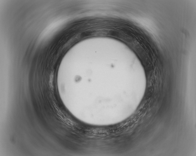 X0000115830146200911131513