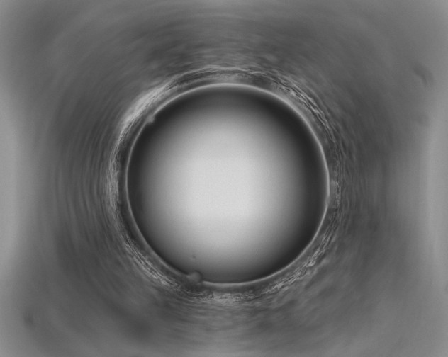 X0000115830149200911131513