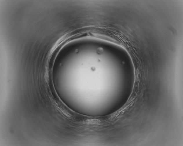 X0000115830150200911131513