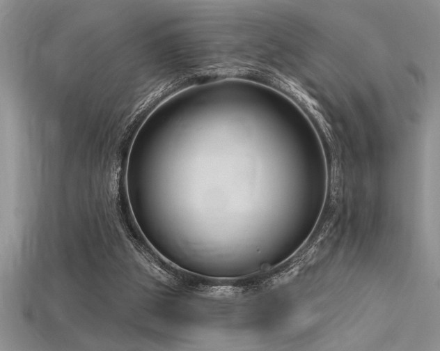 X0000115830153200911131513