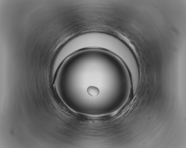 X0000115830154200911131513