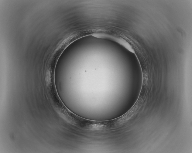 X0000115830158200911131513