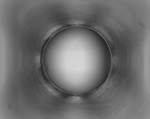 X0000115830159200911131513