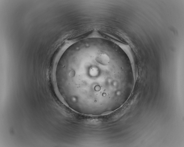 X0000115830161200911131513