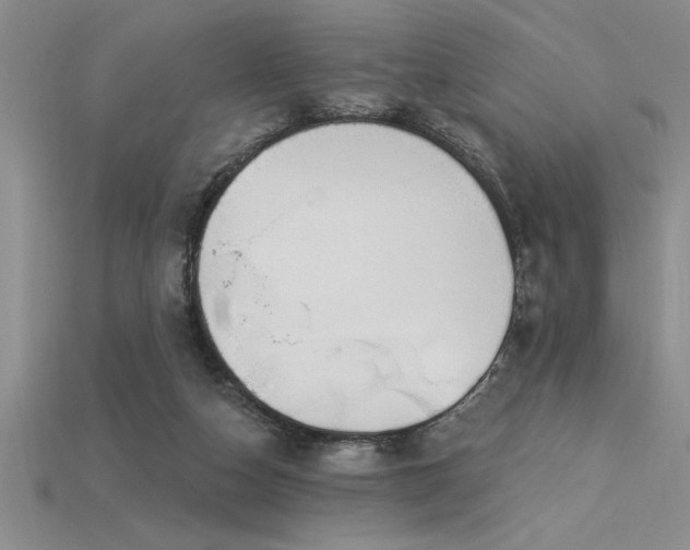 X0000115830162200911131513