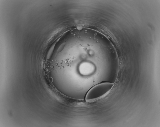 X0000115830163200911131513