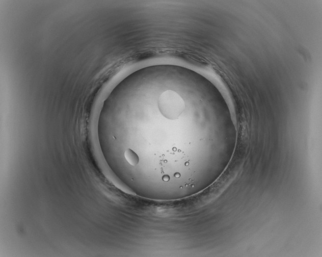 X0000115830165200911131513