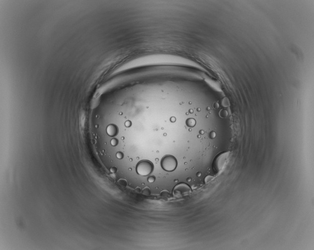 X0000115830167200911131513