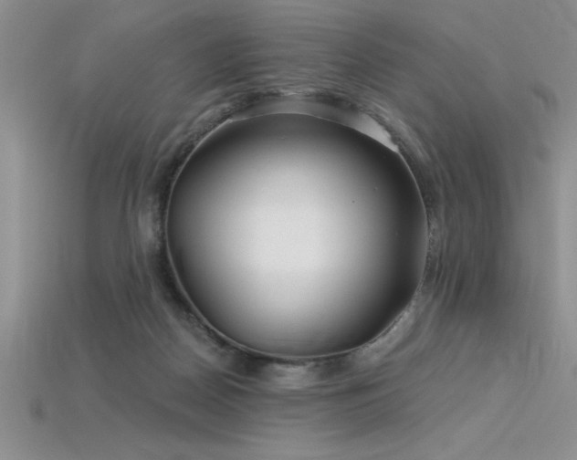 X0000115830170200911131513