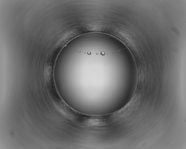 X0000115830171200911131513