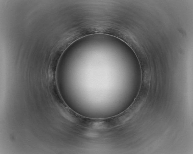 X0000115830173200911131513