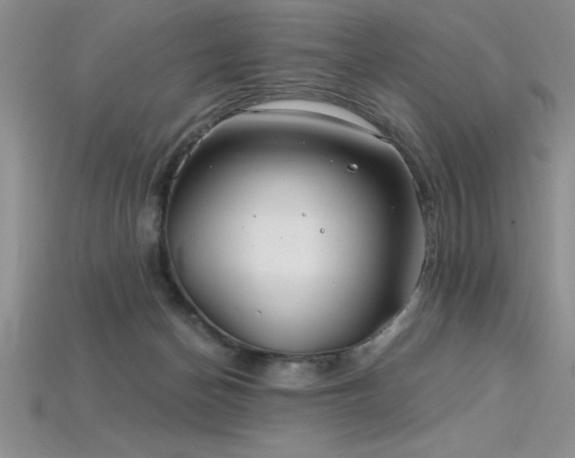 X0000115830174200911131513