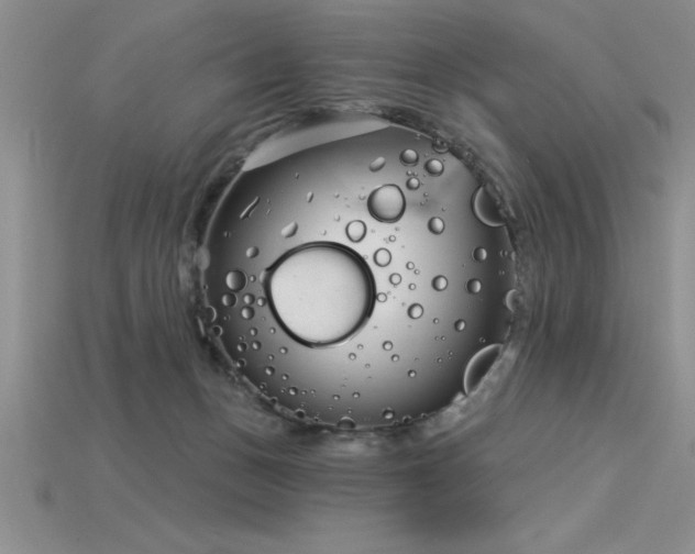 X0000115830175200911131513