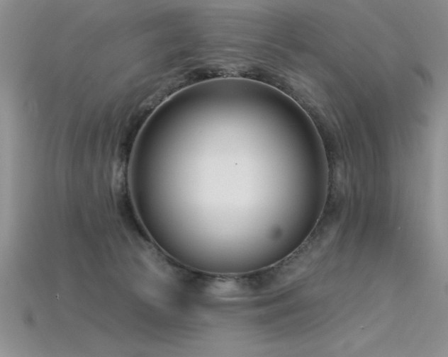 X0000115830177200911131513