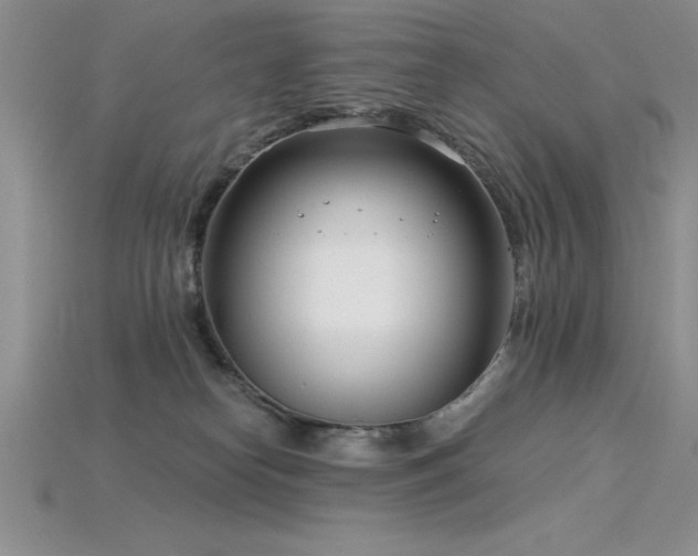 X0000115830182200911131513