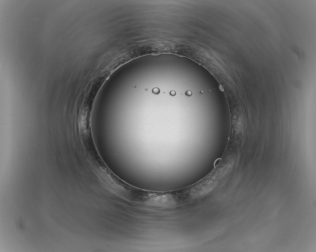 X0000115830185200911131513