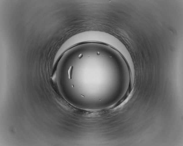 X0000115830186200911131513