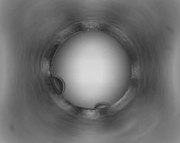 X0000115830187200911131513