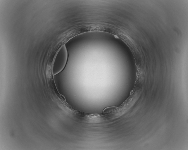 X0000115830189200911131513