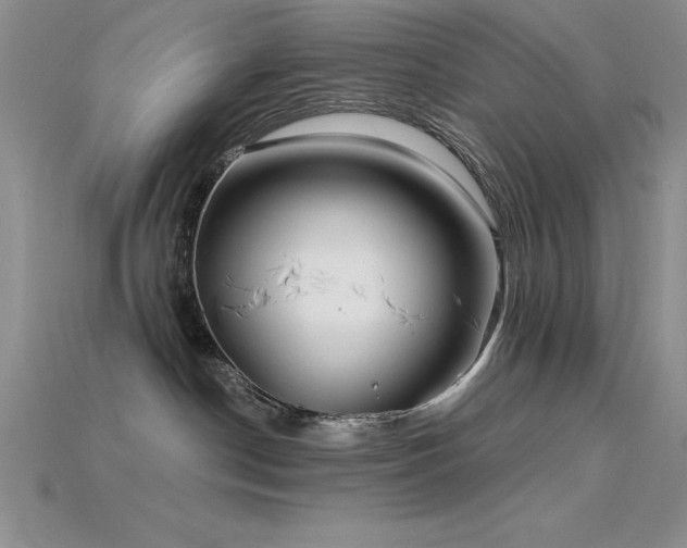 X0000115830190200911131513