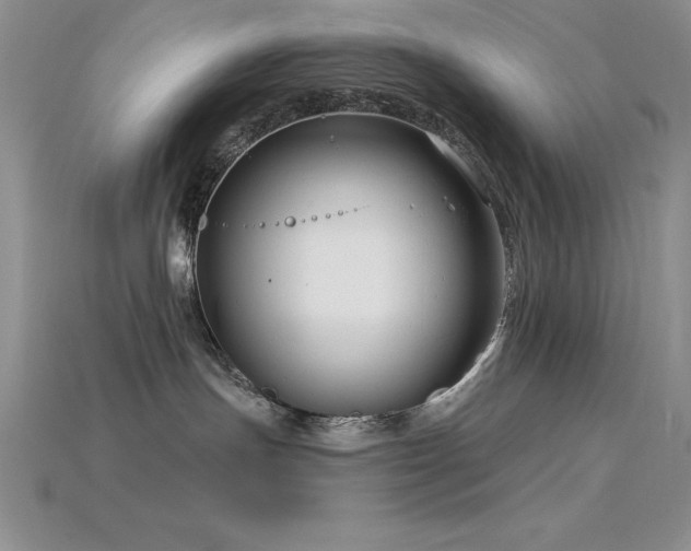 X0000115830191200911131513