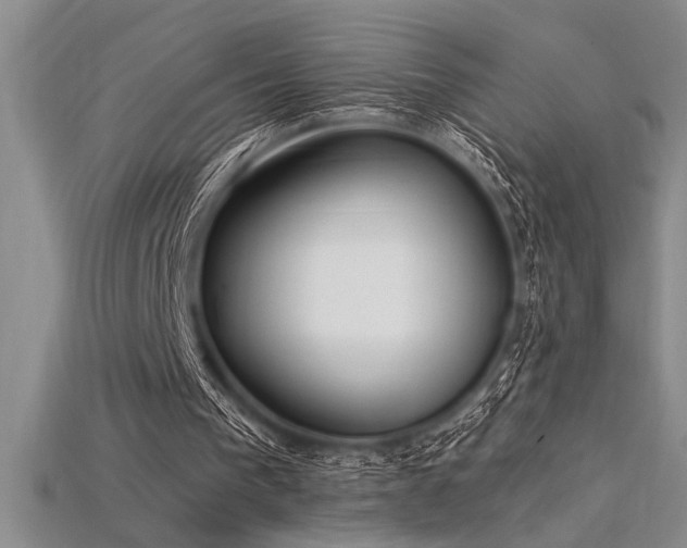 X0000115830193200911131513