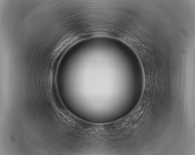 X0000115830194200911131513