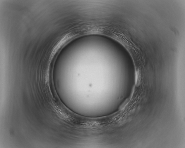 X0000115830195200911131513