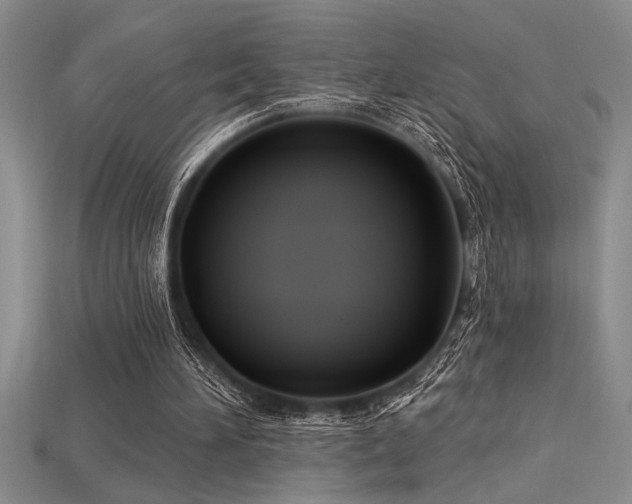 X0000115830196200911131513