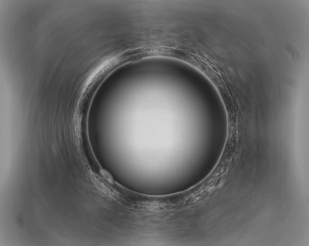 X0000115830197200911131513