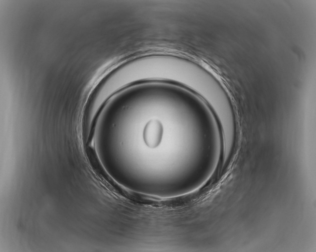 X0000115830199200911131513